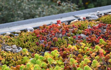the cost of Eastwell Park green roof installation