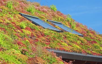 Eastwell Park living roof systems