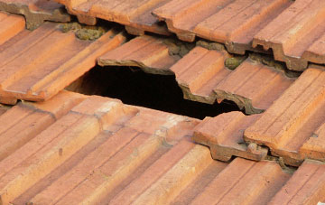 roof repair Eastwell Park, Kent
