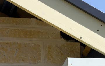 soffit repair Eastwell Park